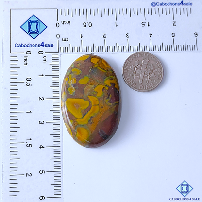 Fruit Jasper