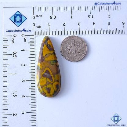 Fruit Jasper