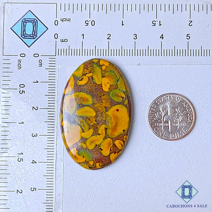 Natural Fruit Jasper Gemstone Oval Cabochons 41*27*5mm from India available for sale