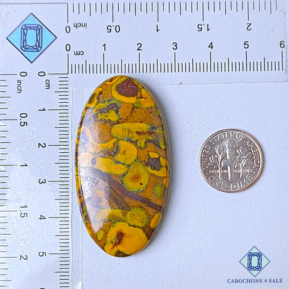 Natural Fruit Jasper Gemstone Oval Cabochons 50*26*6mm from India available for sale