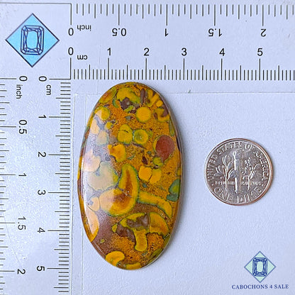 Natural Fruit Jasper Gemstone Oval Cabochons 49*28*6mm from India available for sale
