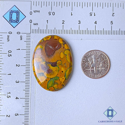 Natural Fruit Jasper Gemstone Oval Cabochons 34*25*6mm from India available for sale