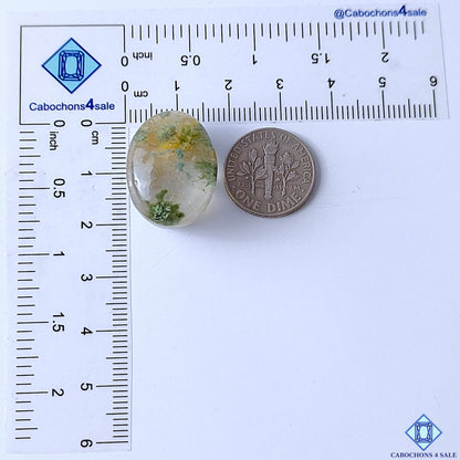 Garden Quartz