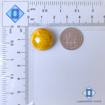 Golden Rutile Quartz Round Cabochons 17*10mm