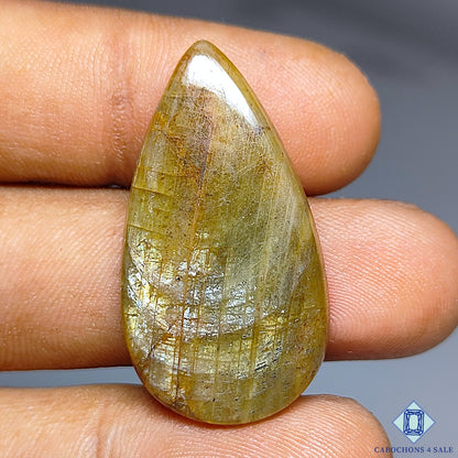 Golden Sapphire