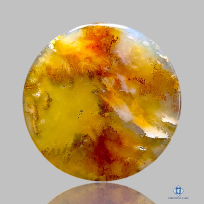 Graveyard Plume Agate