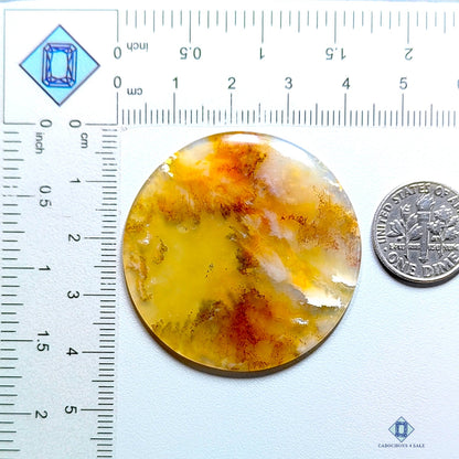 Graveyard Plume Agate Round Cabochons