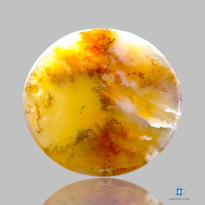 Graveyard Plume Agate Round Cabochons