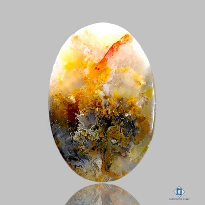 Graveyard Plume Agate