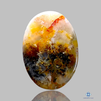 Graveyard Plume Agate Oval Cabochons