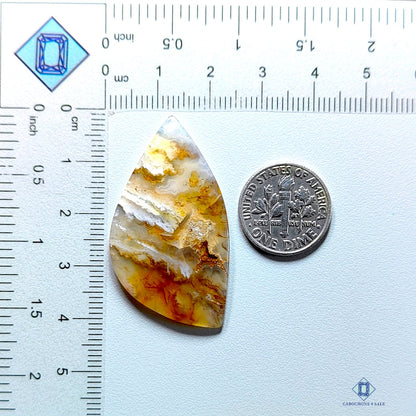 Graveyard Plume Agate Fancy Cabochons