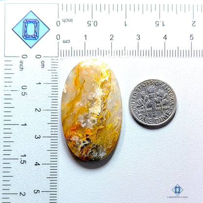 Graveyard Plume Agate Oval Cabochons