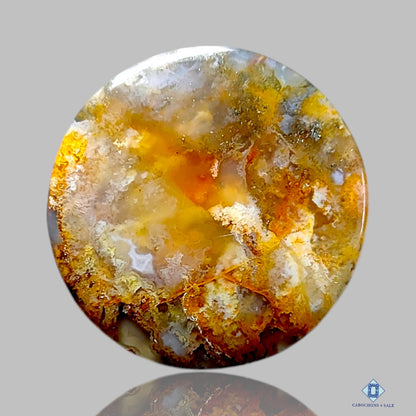 Graveyard Plume Agate