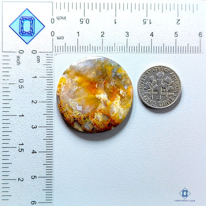 Graveyard Plume Agate Round Cabochons