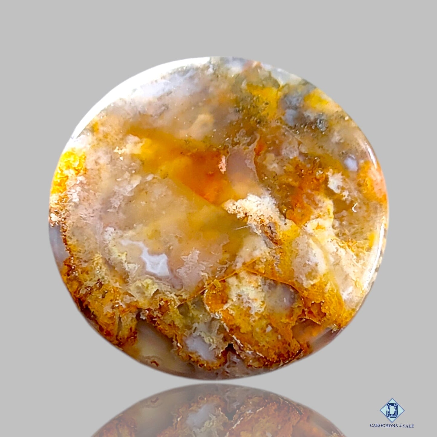 Graveyard Plume Agate Round Cabochons