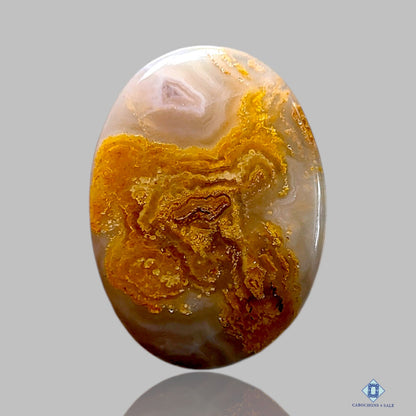 Graveyard Plume Agate