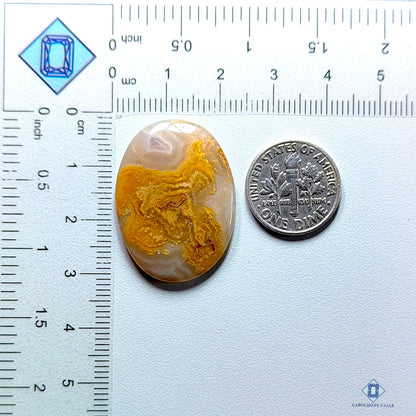 Graveyard Plume Agate Oval Cabochons