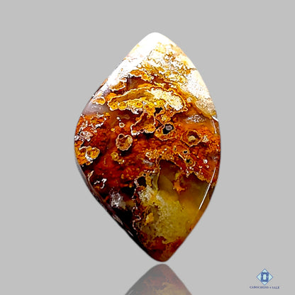 Graveyard Plume Agate Fancy Cabochons