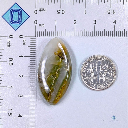 Green Cacoxenite Rutile Marquise Cabochons