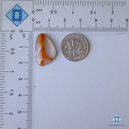 Green Cacoxenite Rutile Quartz