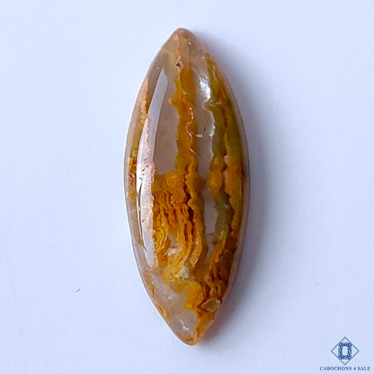 Green Cacoxenite Rutile Quartz