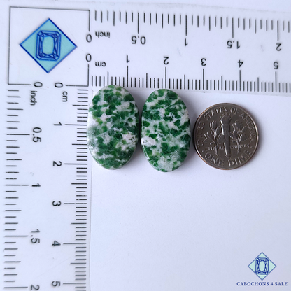 Green Dot Jasper