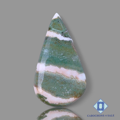 Green Zebra Jasper