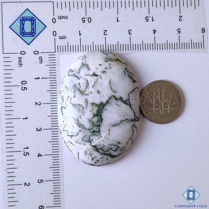 Green Tree Agate