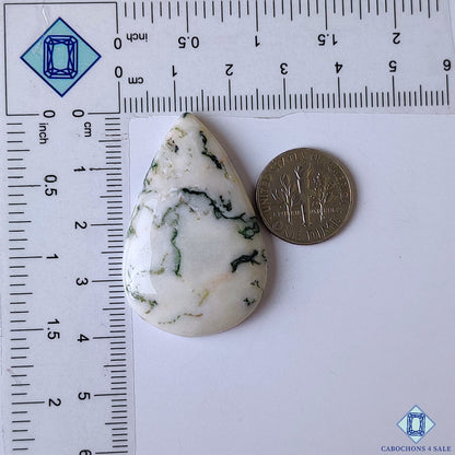 Green Tree Agate