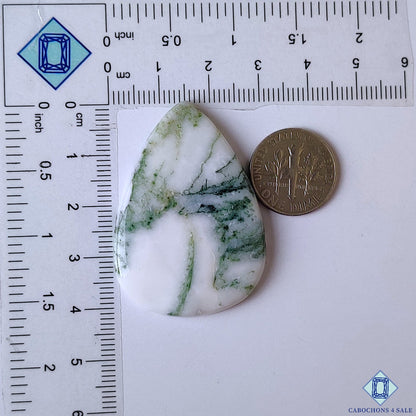 Green Tree Agate