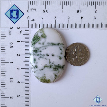 Green Tree Agate