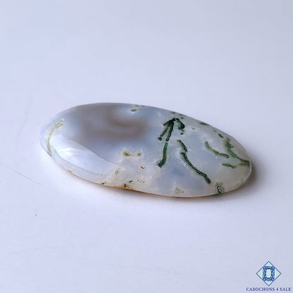 Green Tree Agate