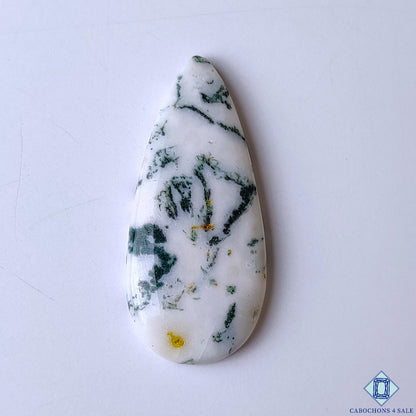 Green Tree Agate