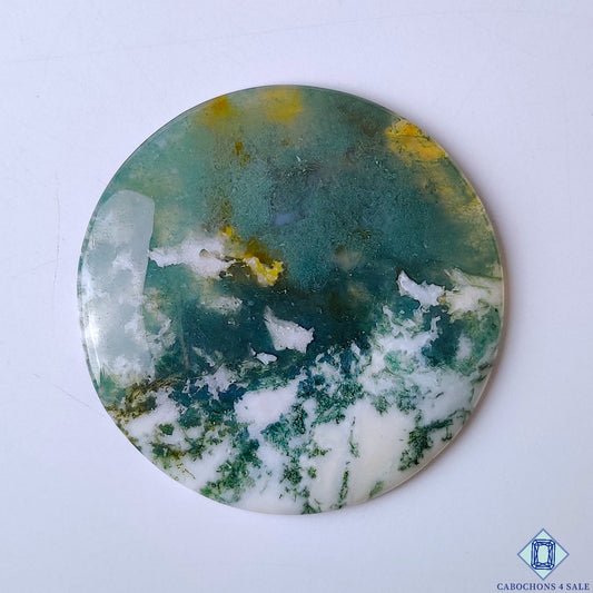 Green Tree Agate