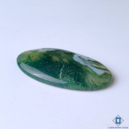 Green Tree Agate