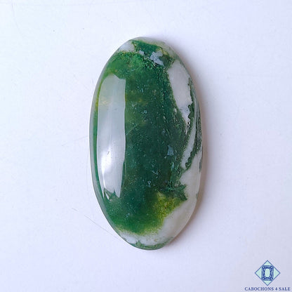 Green Tree Agate