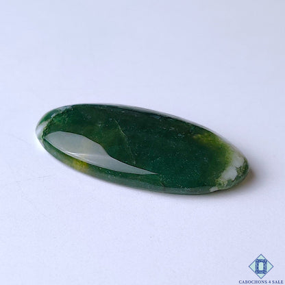 Green Tree Agate