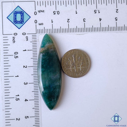 Green Tree Agate