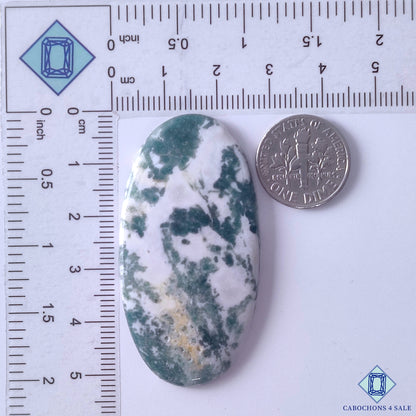 Green Tree Agate