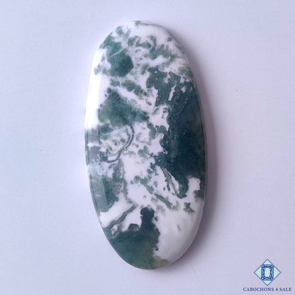 Green Tree Agate
