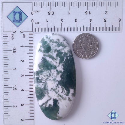 Green Tree Agate
