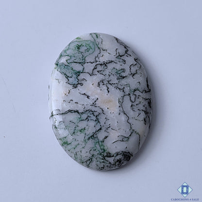 Green Tree Agate