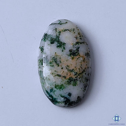 Green Tree Agate