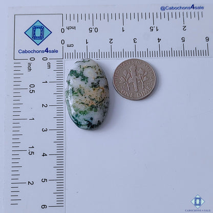 Green Tree Agate