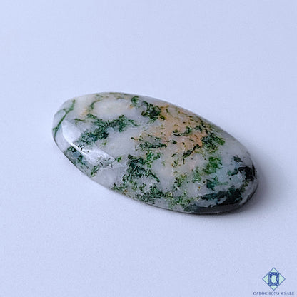 Green Tree Agate