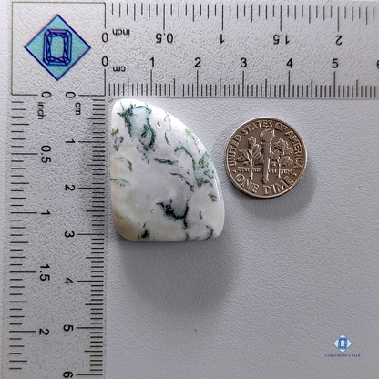 Green Tree Agate-Fancy-Cabochons