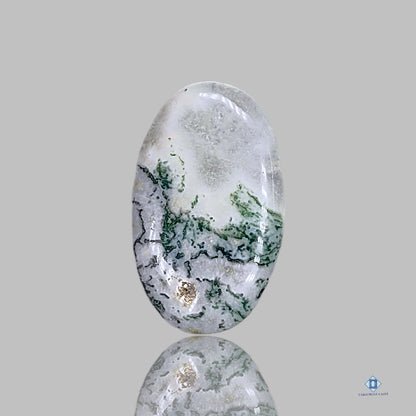 Green Tree Agate