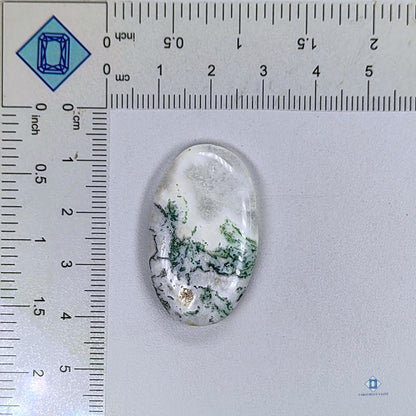 Green Tree Agate Oval Cabochons