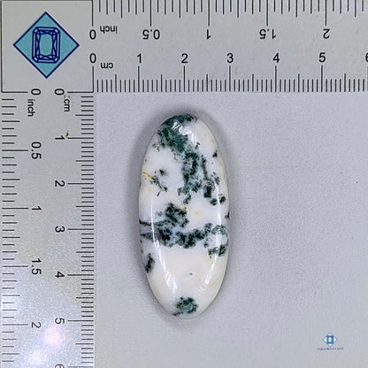 Green Tree Agate Oval Cabochons