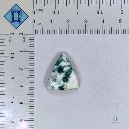 Green Tree Agate Triangle Cabochons